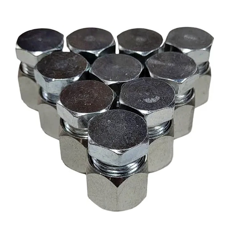 10 Pcs 5/8 JIC Cap and Plug Combo Hydraulic Fitting 2408-10 0304-C-10