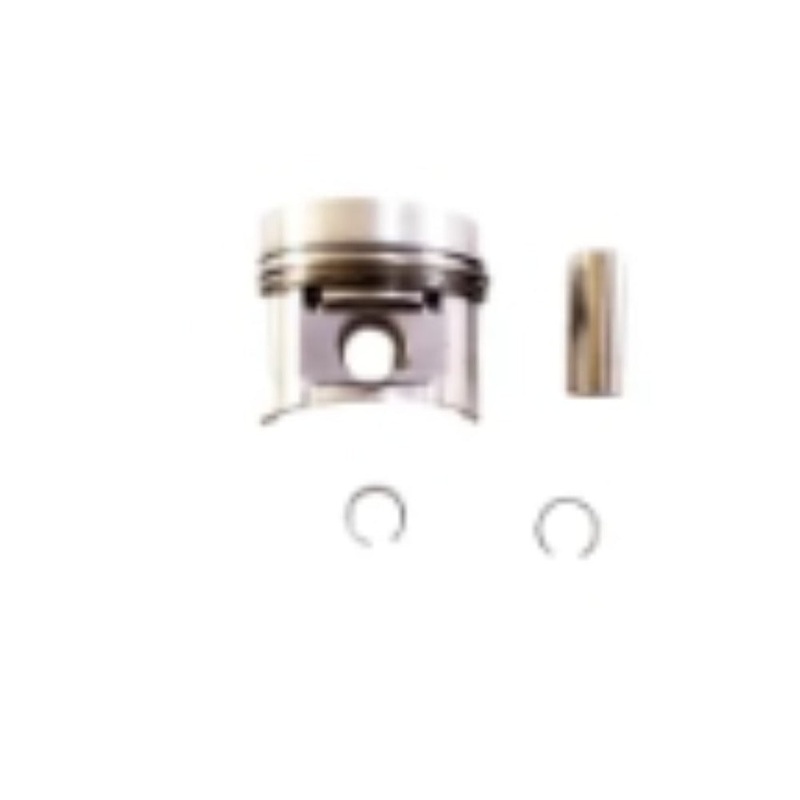 Piston Kit 0427-1219 for Deutz F2M1011F F3M1011F F4M1011F Engine
