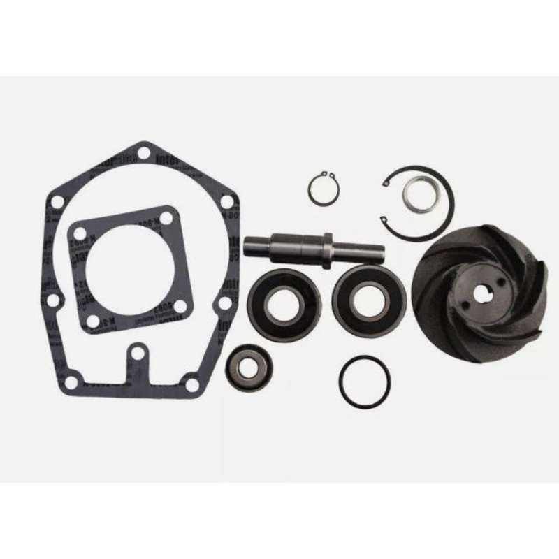 Water Pump Repair Kit 3801712 for Cummins Engine NT495 NH855 NT855