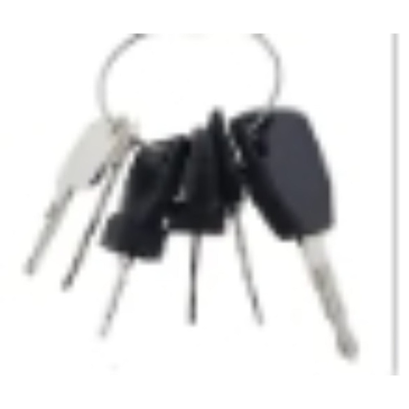 6 Pcs Ignition Keys for JCB New Holland Terex Ford CASE Heavy Equipment