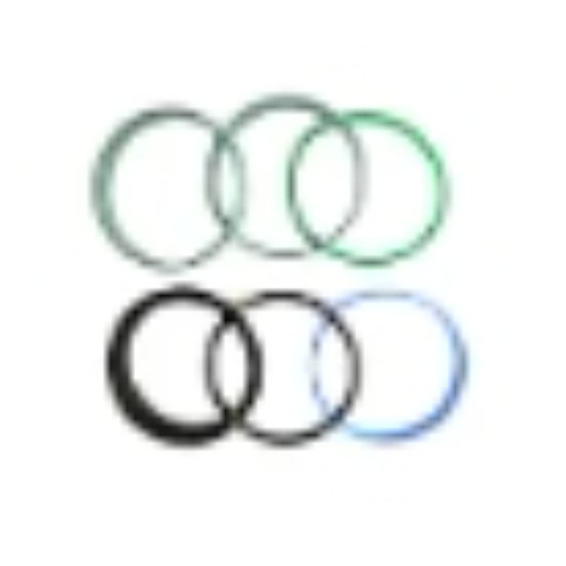 Hydraulic Cylinder Seal Repair Kit 84318585 for New Holland Loader B100B B110B B110C B115B B90B