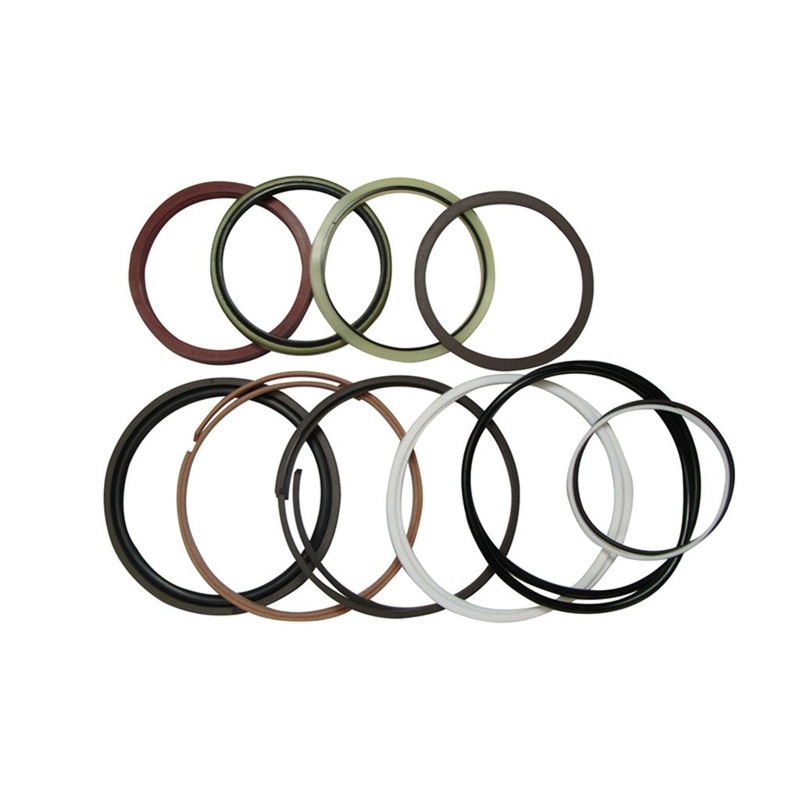 Arm Cylinder Seal Kit 2438U1096R200 for New Holland Crawler Excavator E70 E70SR E80 EH70 EH80