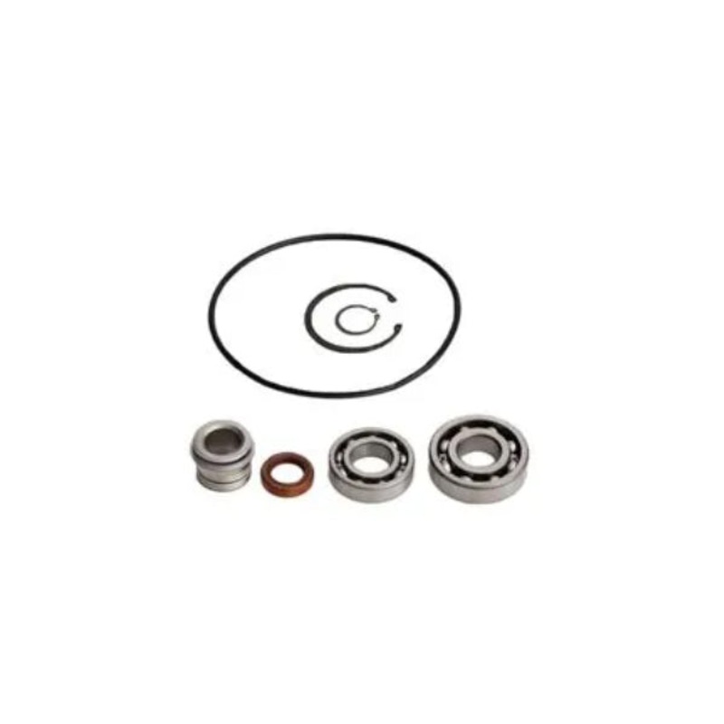 Water Pump Repair Kit 3803284 for Cummins Engine QSK45 QSK60 QSK78 QSK95