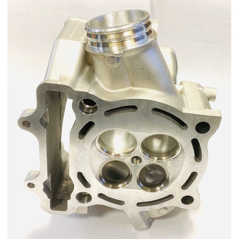 07 08 09 RMZ 250 RMZ250 Ported Cylinder Head Porting Port New OEM